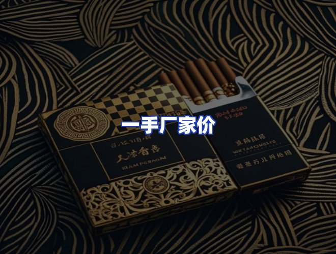 专业团队